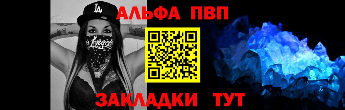 Alfa_PVP СК Сосновый Бор