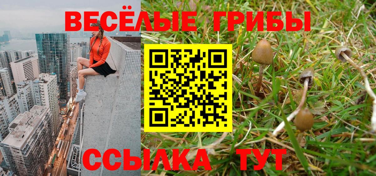 Псилоцибиновые грибы ЛСД Сосновый Бор