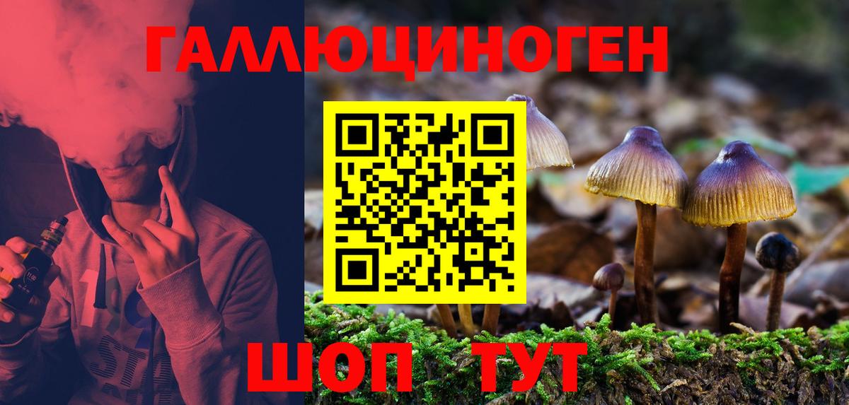 Галлюциногенные грибы Psilocybe  Вход с VPN  Сосновый Бор 